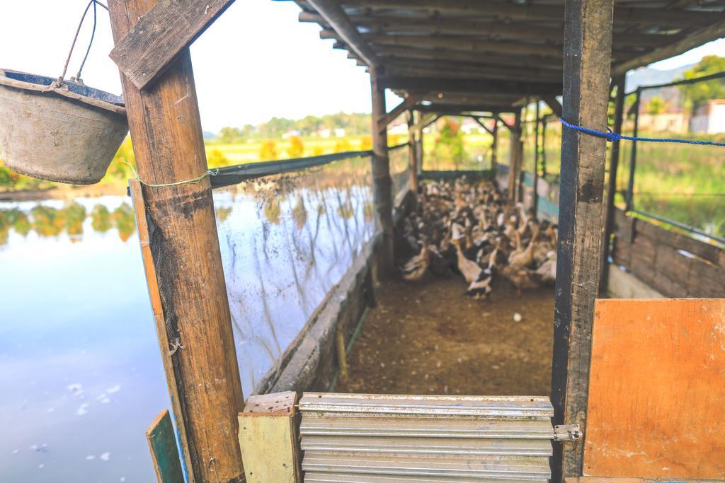 Rumah Pakankamih Bukittinggi Zewnętrze zdjęcie