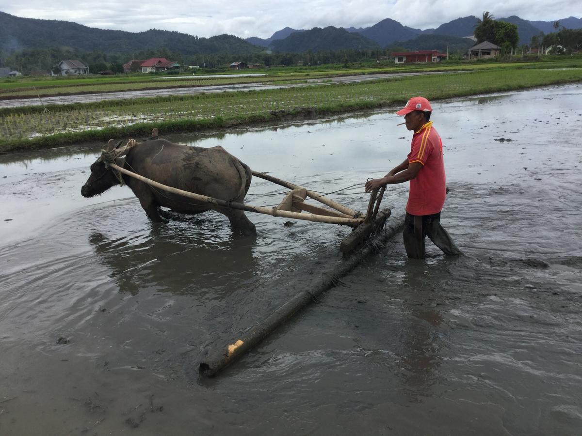 Rumah Pakankamih Bukittinggi Zewnętrze zdjęcie