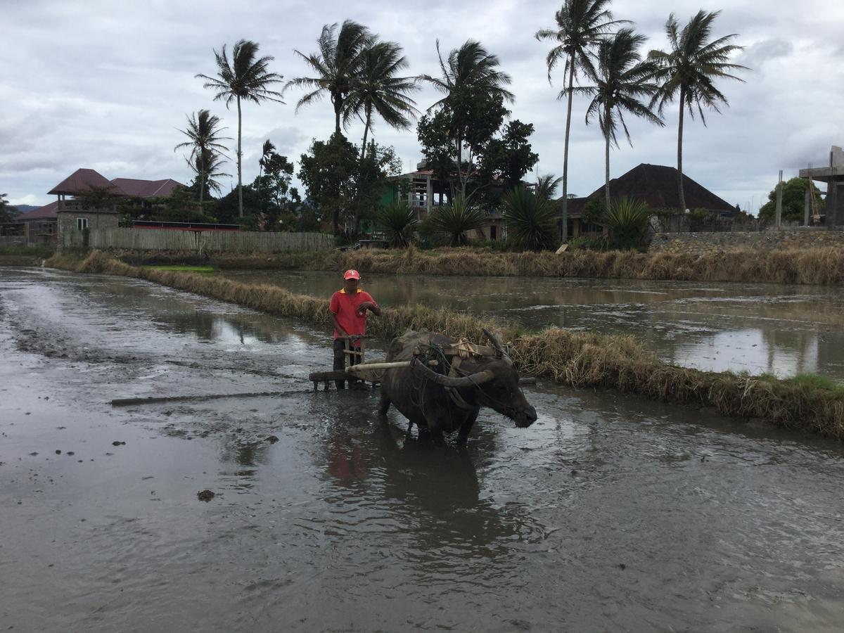Rumah Pakankamih Bukittinggi Zewnętrze zdjęcie
